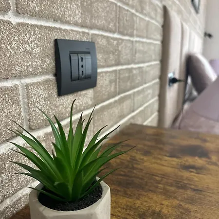 Apartmán Typic Loft