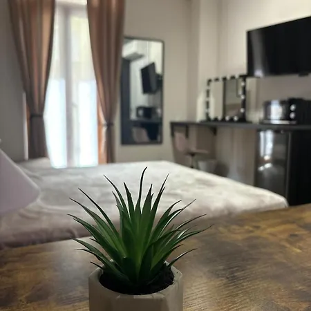 Typic Loft *